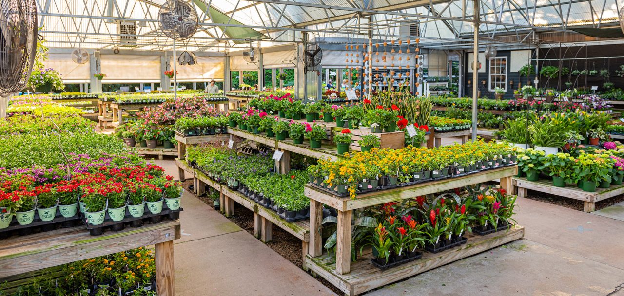 Plant Nursery and Garden Shop in Birmingham, AL Contact