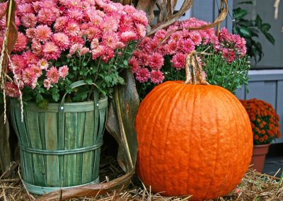 Add Fall decor like pumpkins!