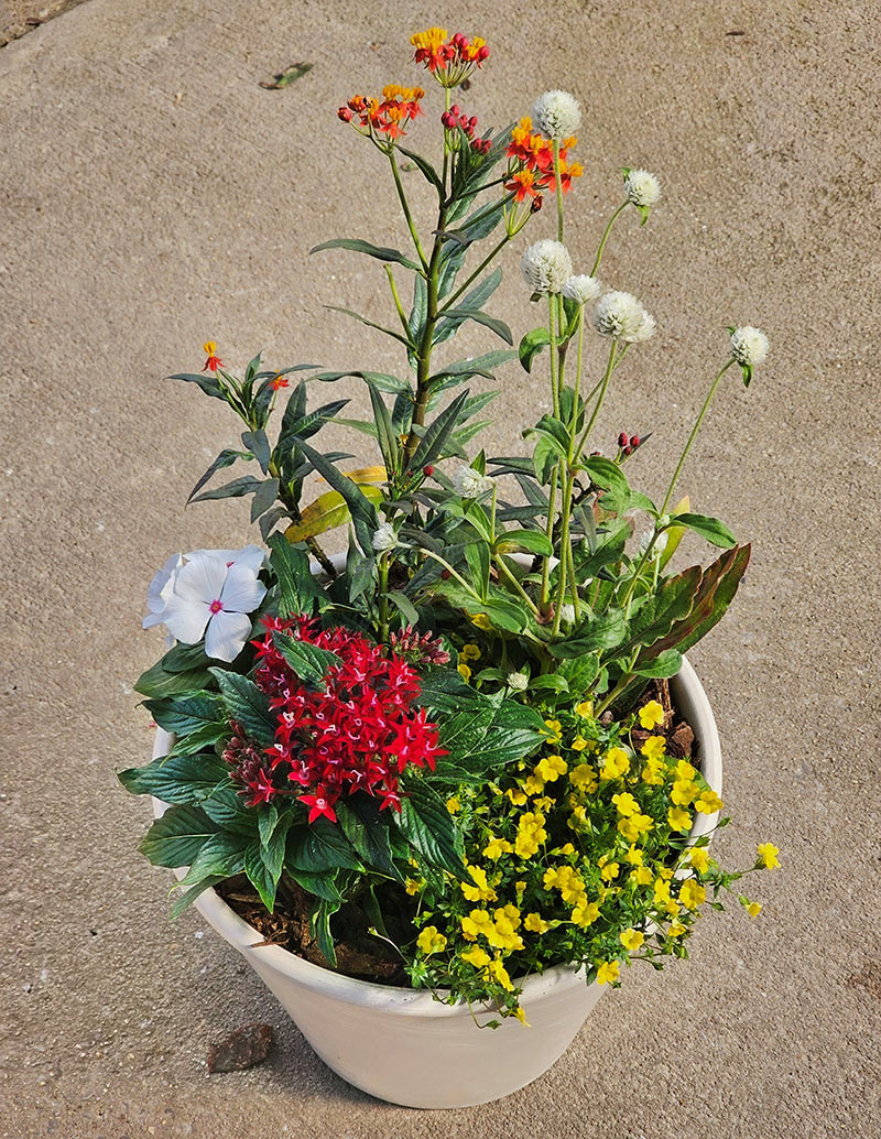 Example one of a Hummingbird Container arrangement.