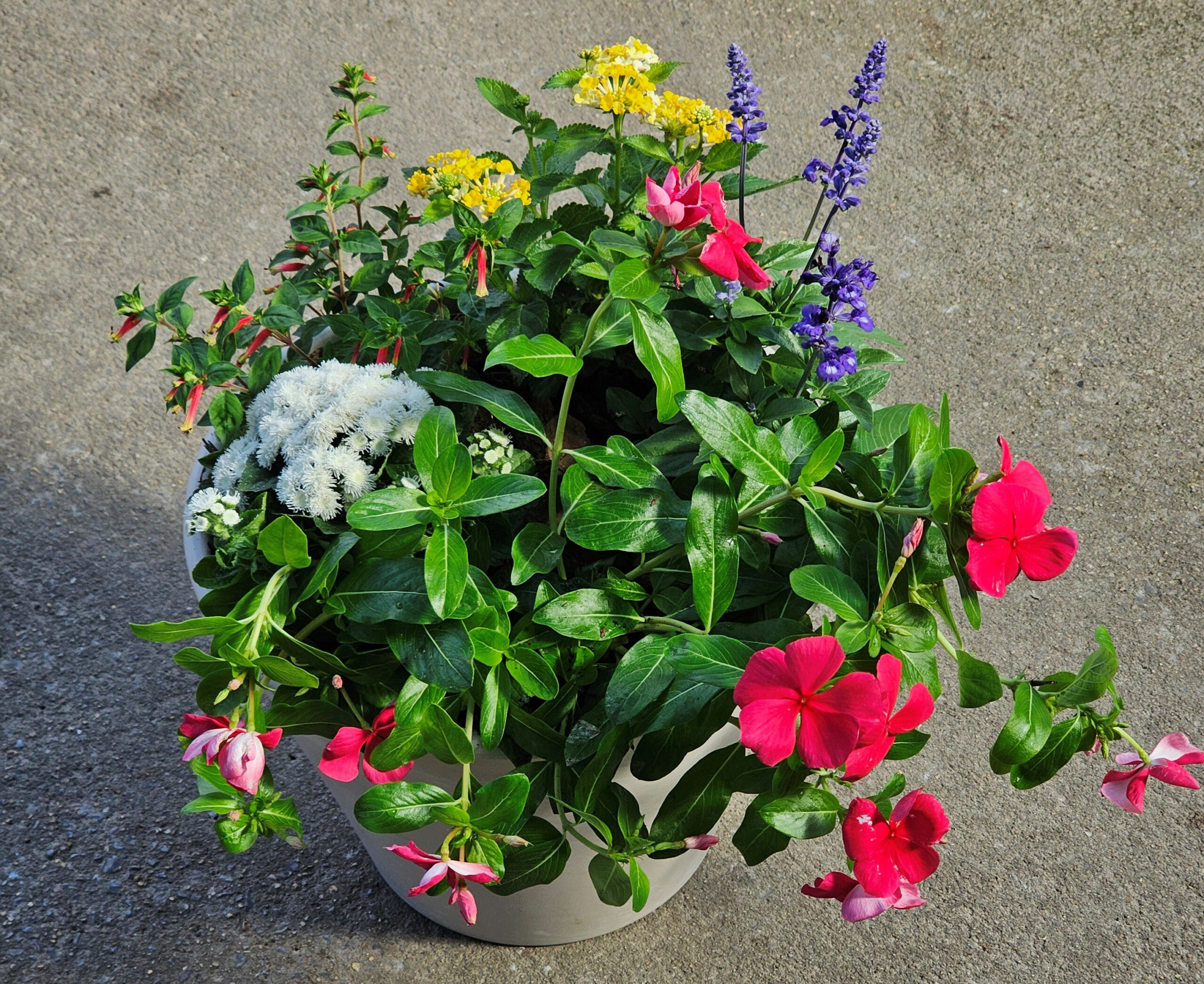 Example two of a Hummingbird Container arrangement.