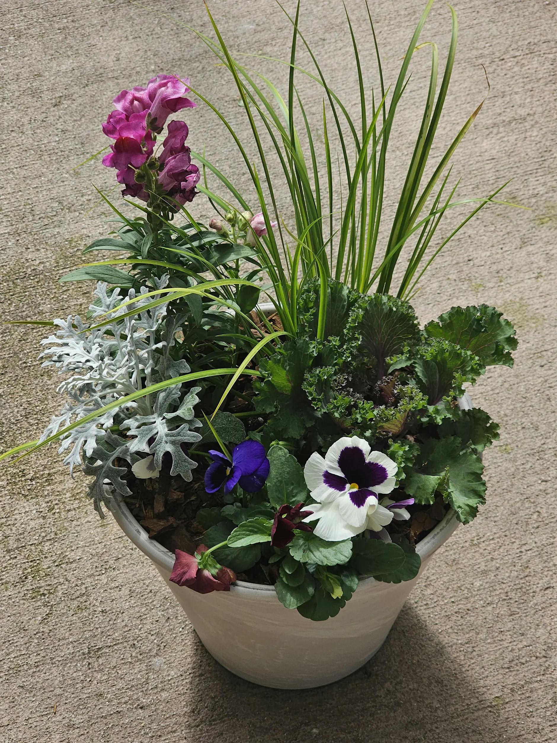 Sip 'N Soil: Cool Season Containers | Example 1