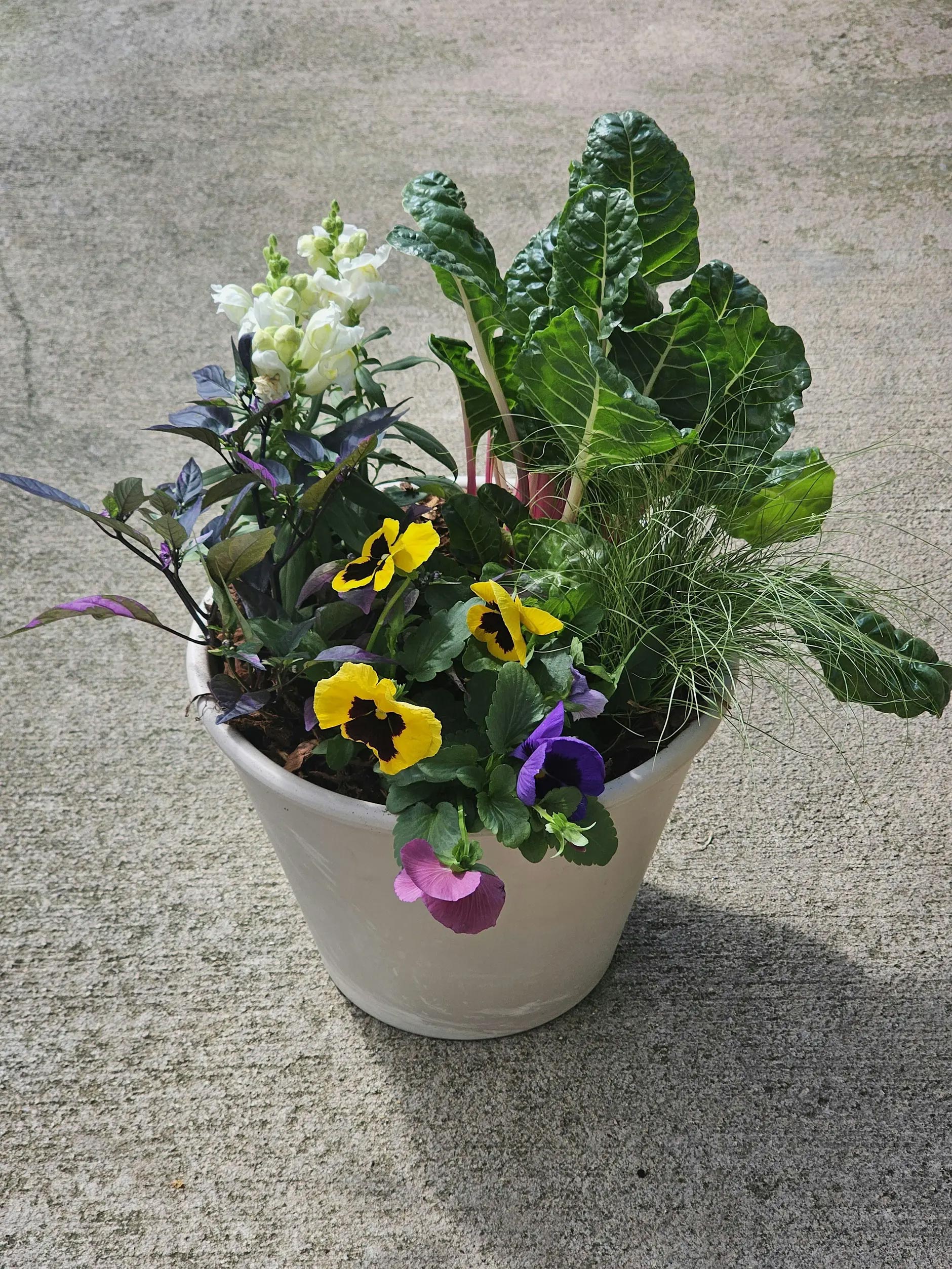 Sip 'N Soil: Cool Season Containers | Example 2